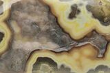 Polished Botryoidal Yellow Smithsonite - New Mexico #209529-2